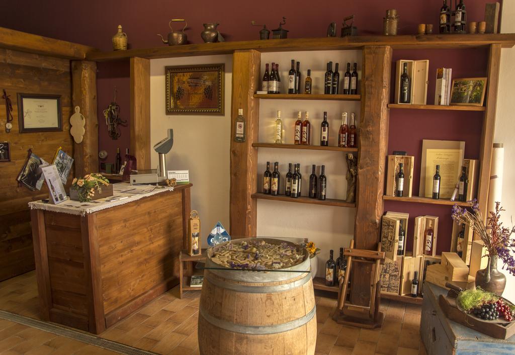 살루초 Agriturismo Il Nido Di Bacco 빌라 외부 사진