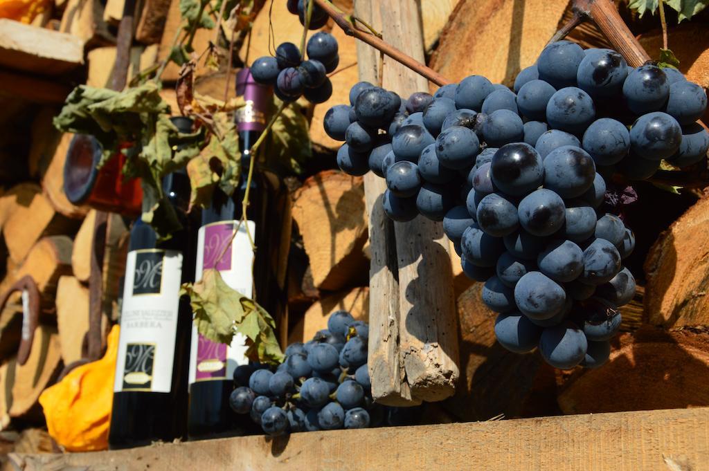 살루초 Agriturismo Il Nido Di Bacco 빌라 외부 사진